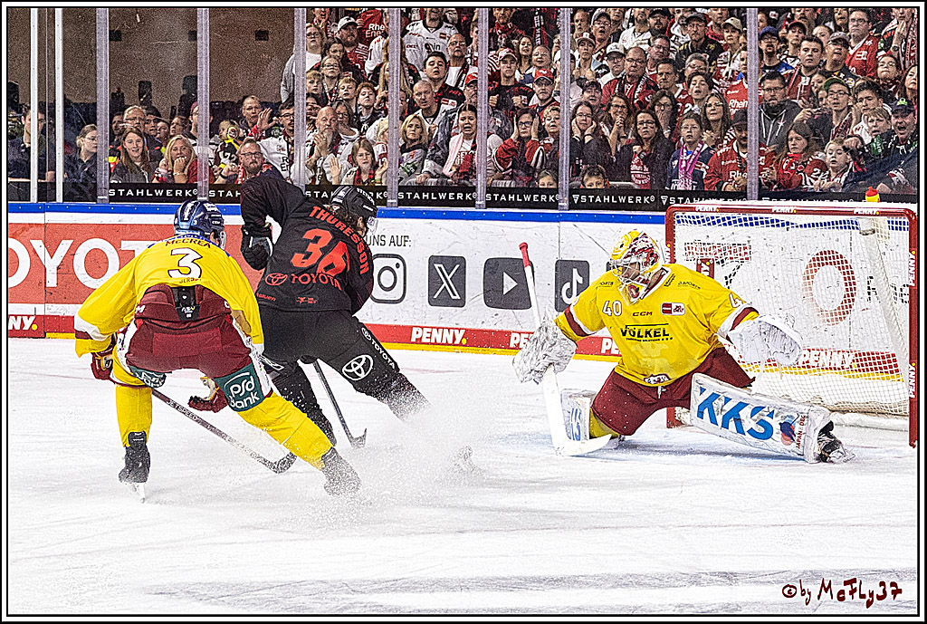 PENNY DEL 1 Koelner Haie - Duesseldorfer EG ; Koeln, 24.09.2023