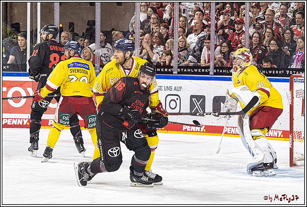 PENNY DEL 1 Koelner Haie - Duesseldorfer EG ; Koeln, 24.09.2023