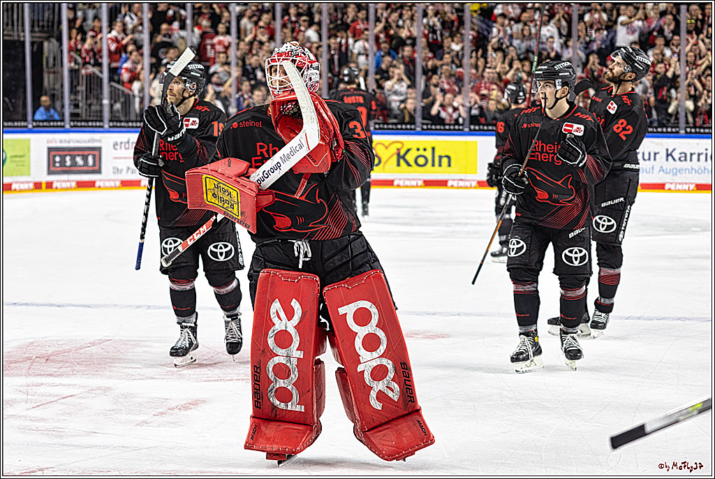 PENNY DEL 1 Koelner Haie - Duesseldorfer EG ; Koeln, 24.09.2023