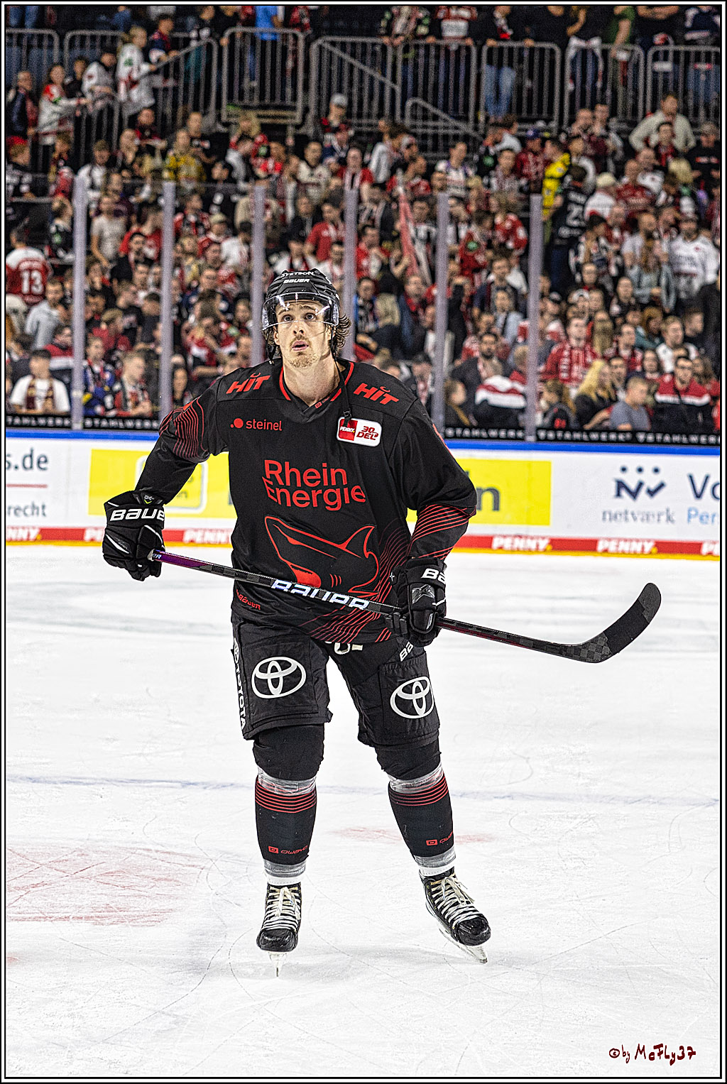PENNY DEL 1 Koelner Haie - Duesseldorfer EG ; Koeln, 24.09.2023