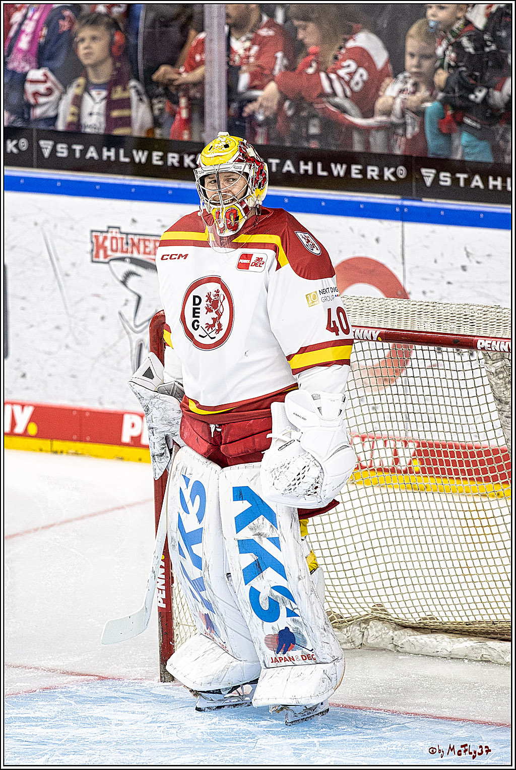 PENNY DEL 1 Koelner Haie - Duesseldorfer EG ; Koeln, 24.09.2023