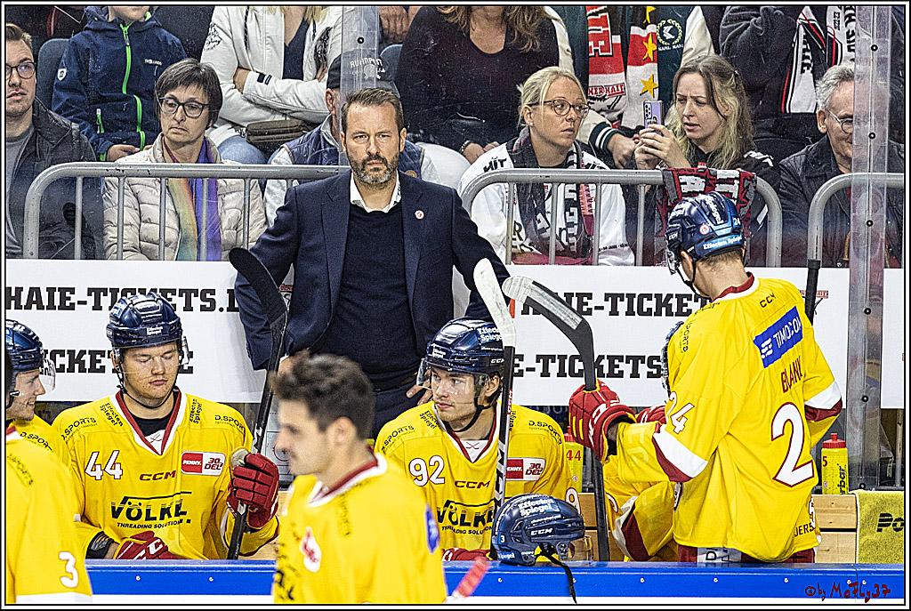 PENNY DEL 1 Koelner Haie - Duesseldorfer EG ; Koeln, 24.09.2023