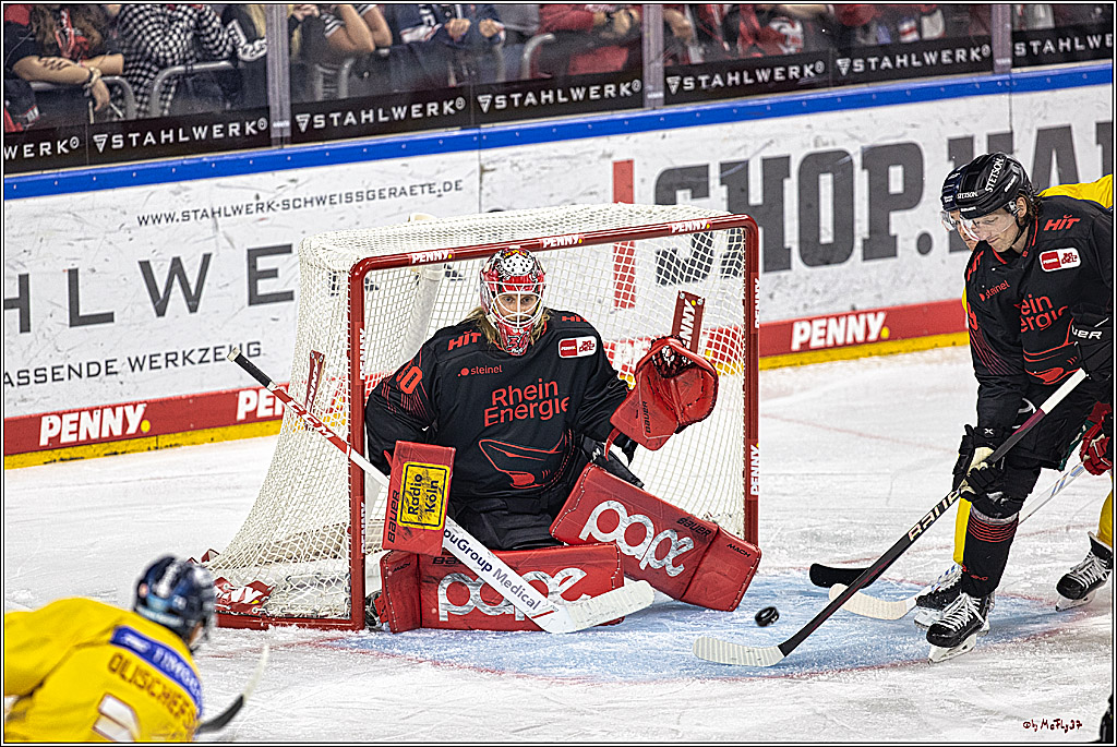 PENNY DEL 1 Koelner Haie - Duesseldorfer EG ; Koeln, 24.09.2023