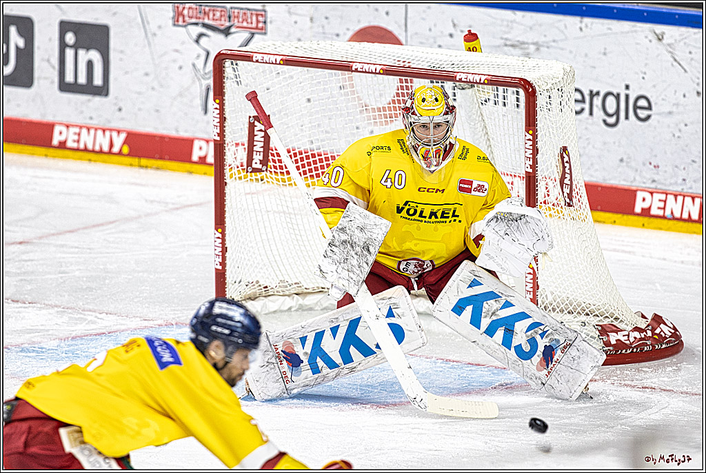 PENNY DEL 1 Koelner Haie - Duesseldorfer EG ; Koeln, 24.09.2023