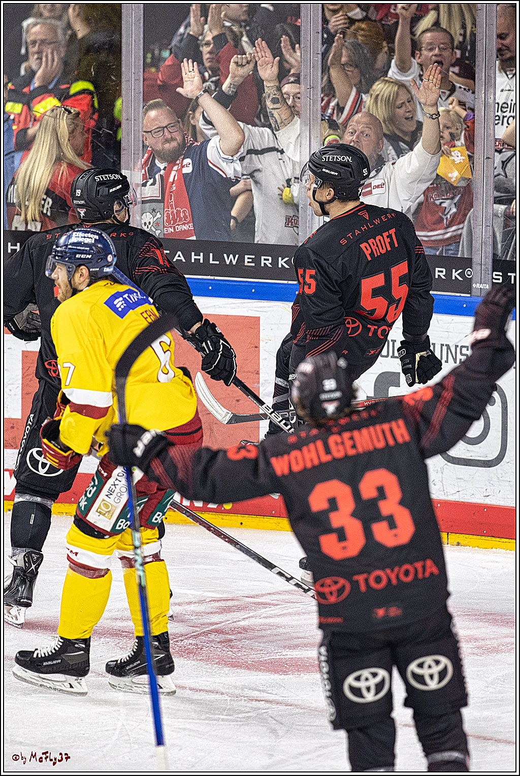 PENNY DEL 1 Koelner Haie - Duesseldorfer EG ; Koeln, 24.09.2023