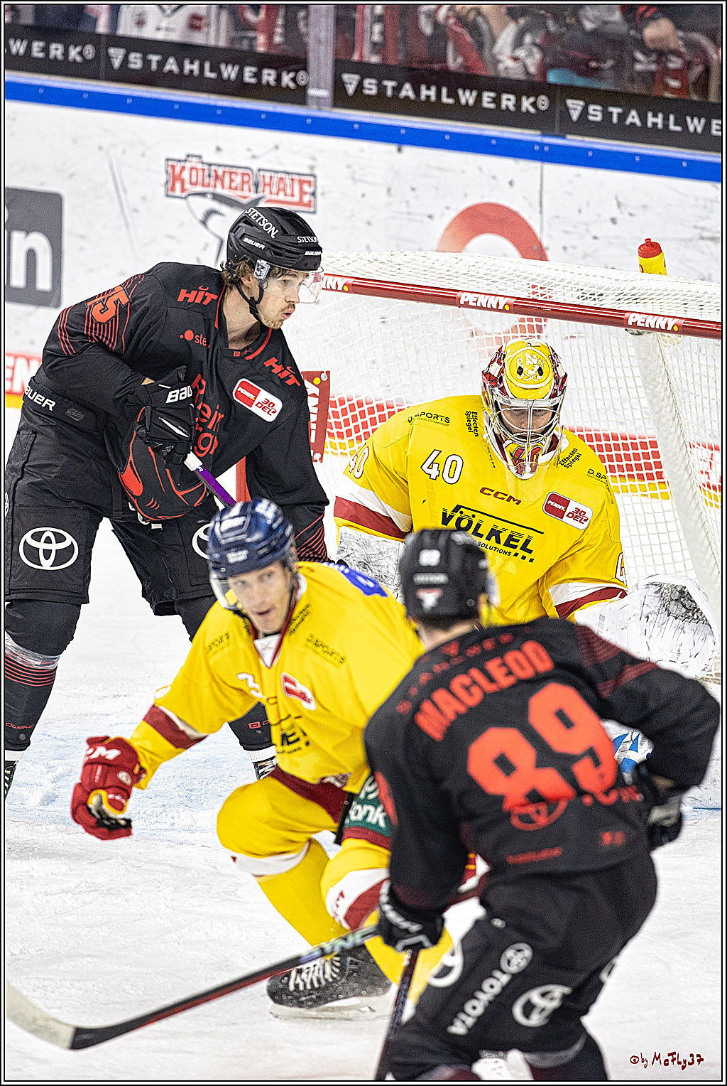 PENNY DEL 1 Koelner Haie - Duesseldorfer EG ; Koeln, 24.09.2023