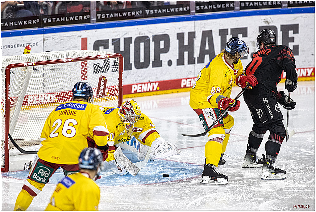 PENNY DEL 1 Koelner Haie - Duesseldorfer EG ; Koeln, 24.09.2023