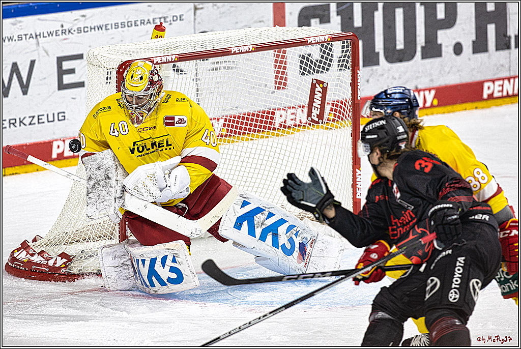 PENNY DEL 1 Koelner Haie - Duesseldorfer EG ; Koeln, 24.09.2023