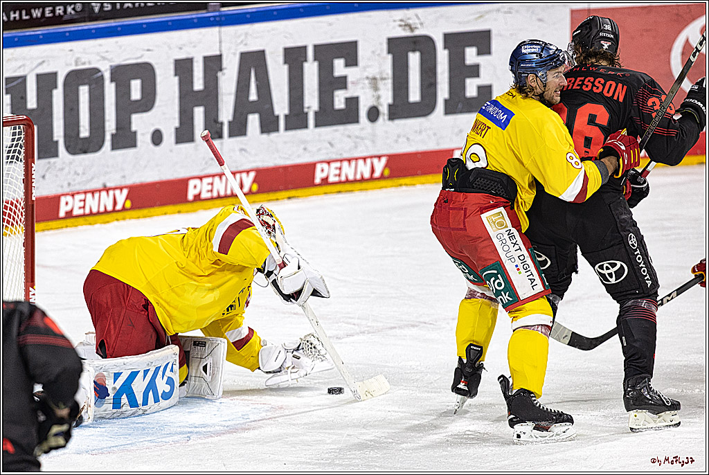 PENNY DEL 1 Koelner Haie - Duesseldorfer EG ; Koeln, 24.09.2023