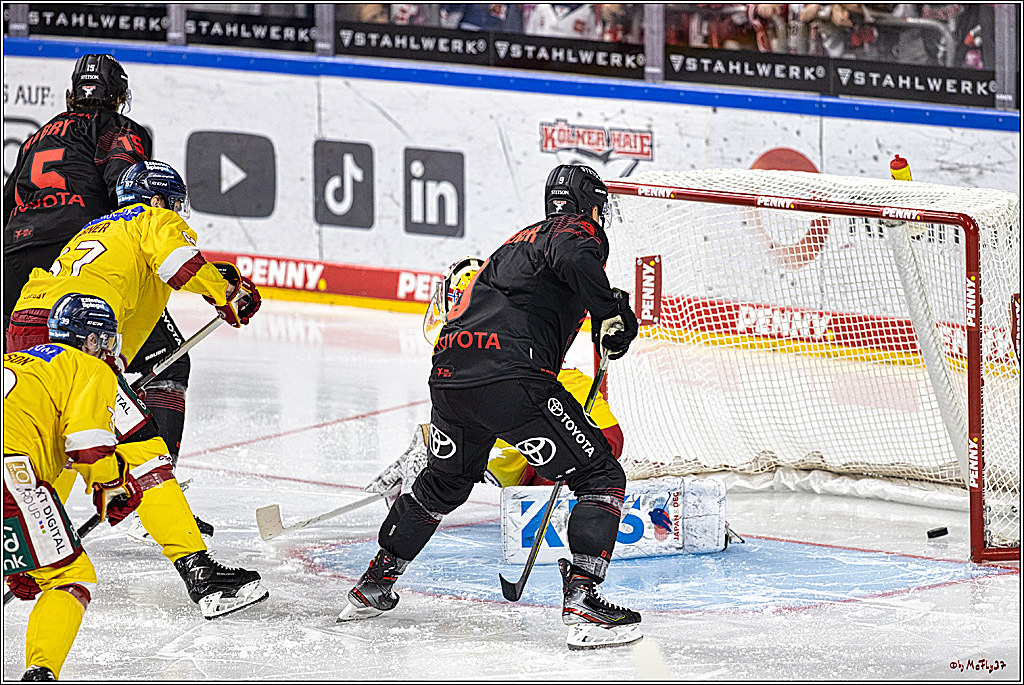 PENNY DEL 1 Koelner Haie - Duesseldorfer EG ; Koeln, 24.09.2023
