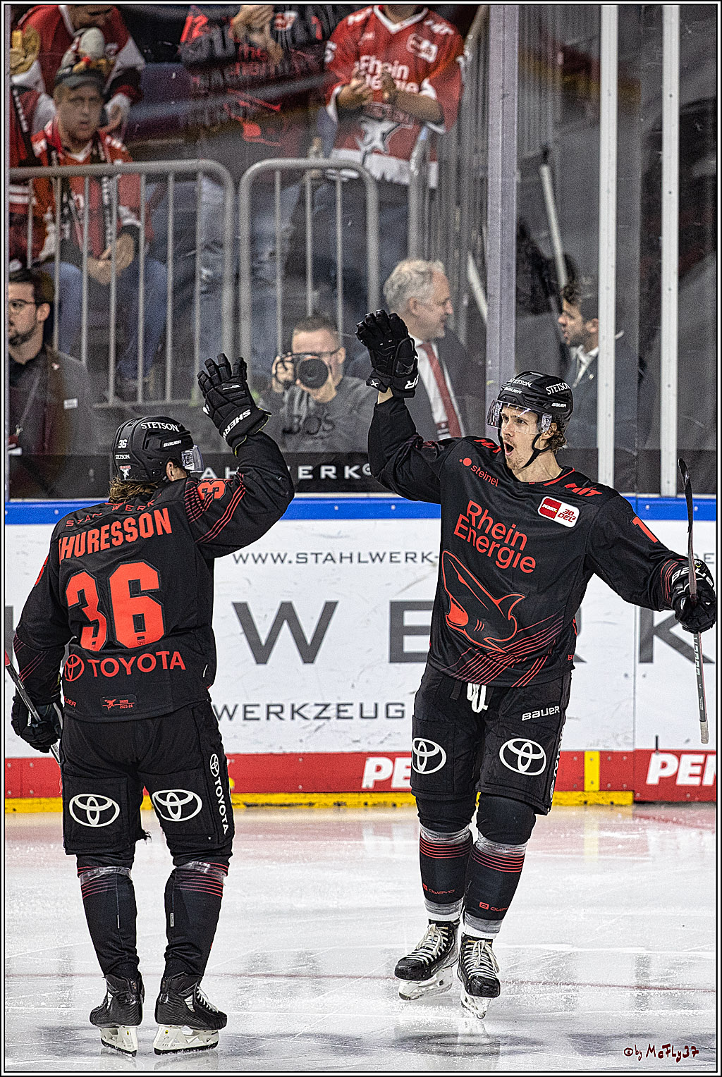 PENNY DEL 1 Koelner Haie - Duesseldorfer EG ; Koeln, 24.09.2023