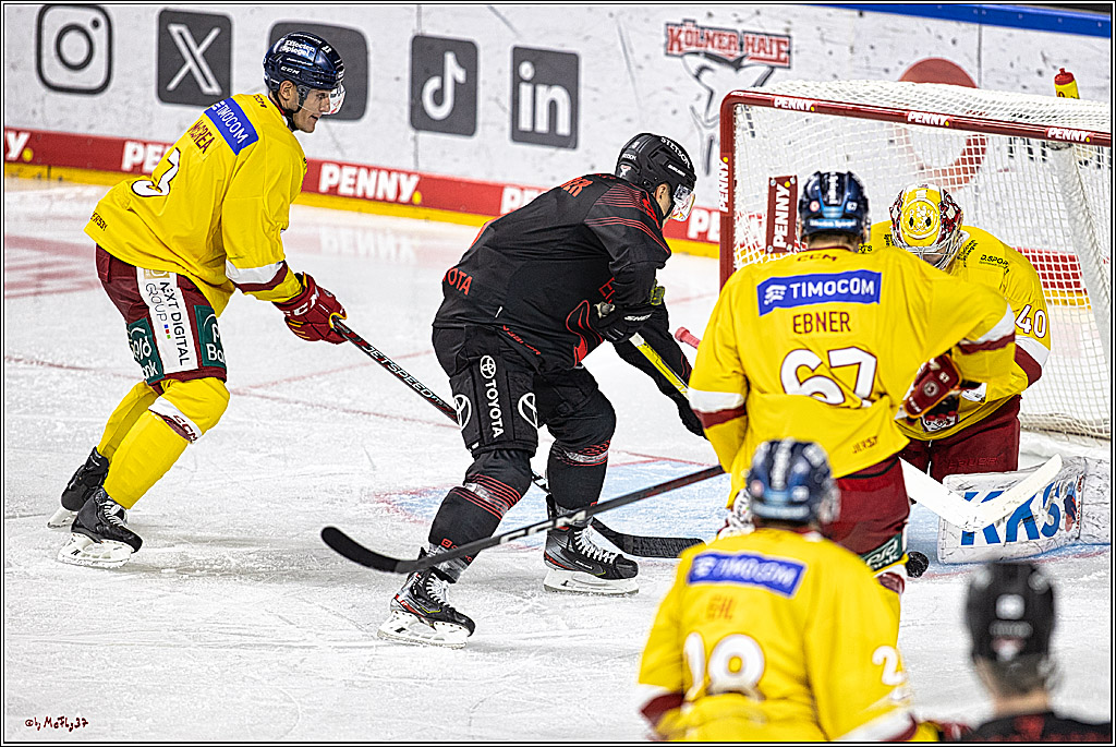 PENNY DEL 1 Koelner Haie - Duesseldorfer EG ; Koeln, 24.09.2023