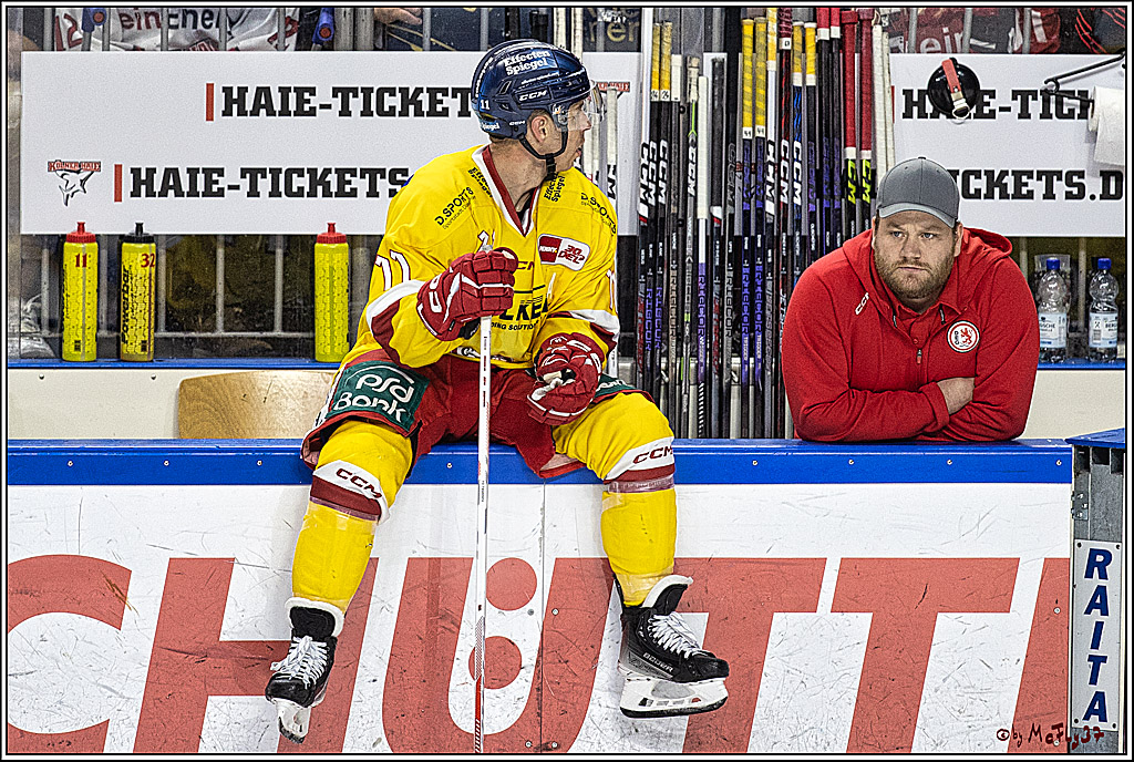 PENNY DEL 1 Koelner Haie - Duesseldorfer EG ; Koeln, 24.09.2023