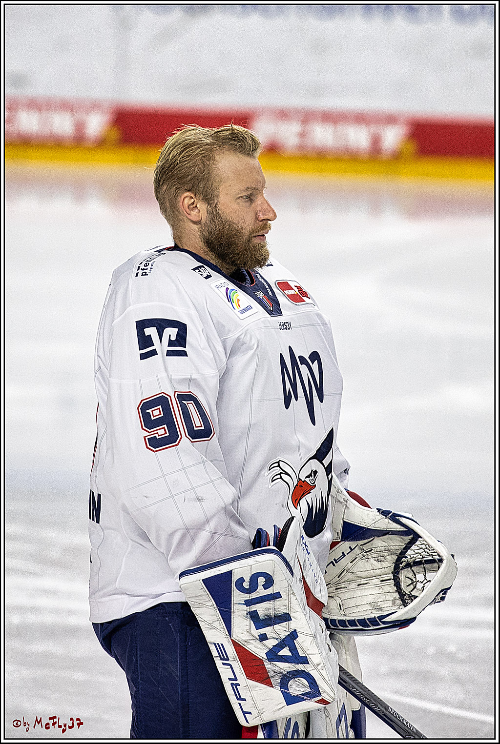 PENNY DEL 1. Koelner Haie - Adler Mannheim; Koeln, 30.09.2023