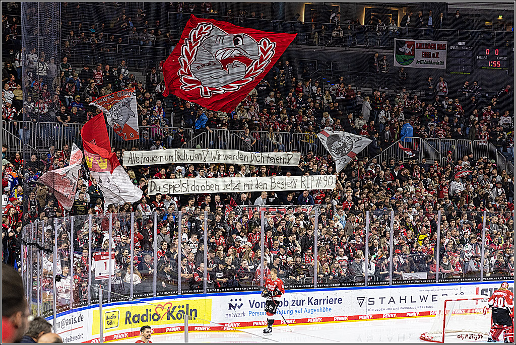 PENNY DEL 1. Koelner Haie - Schwenninger Wild Wings; Koeln, 25.10.2023