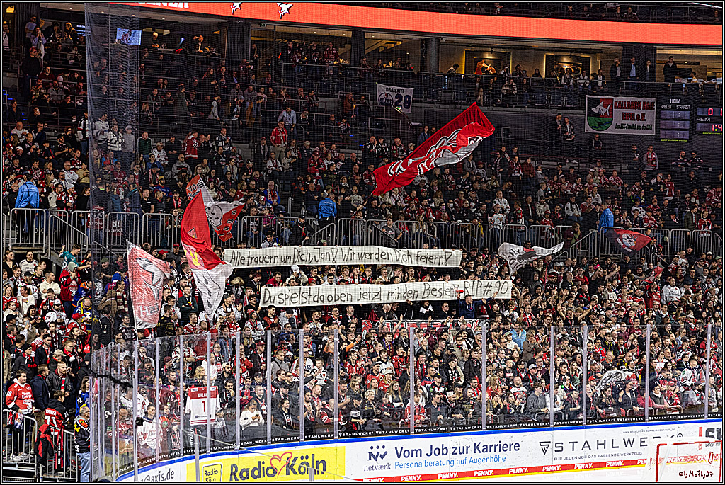 PENNY DEL 1. Koelner Haie - Schwenninger Wild Wings; Koeln, 25.10.2023
