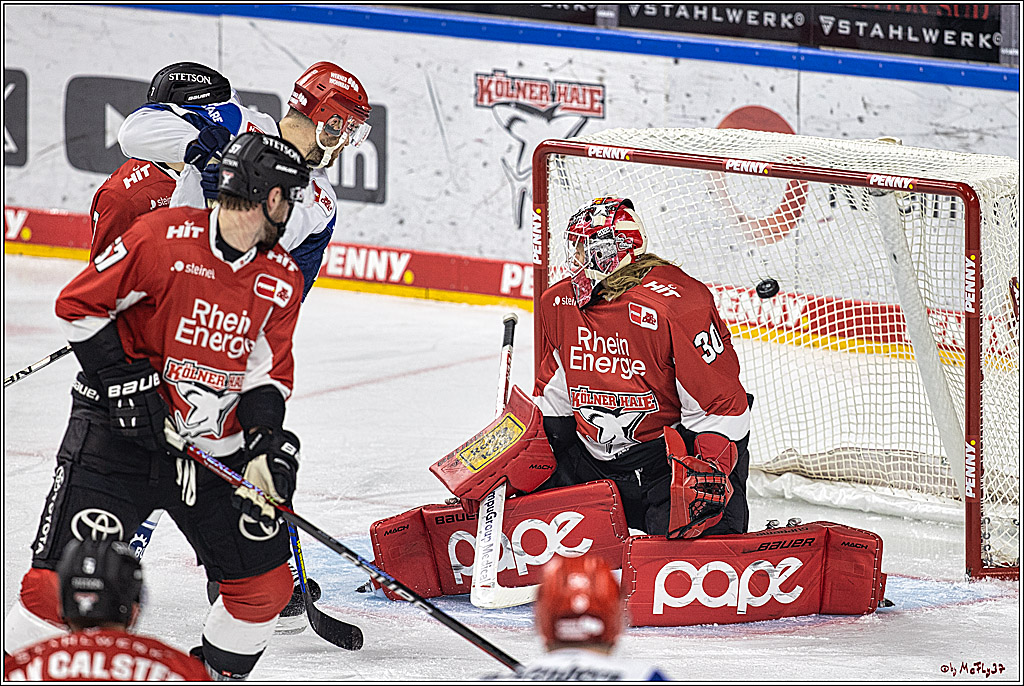 PENNY DEL 1. Koelner Haie - Schwenninger Wild Wings; Koeln, 25.10.2023