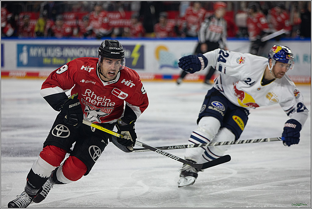 PENNY DEL; Koelner Haie- EHC RedBull Muenchen; Koeln, 27.10.2023