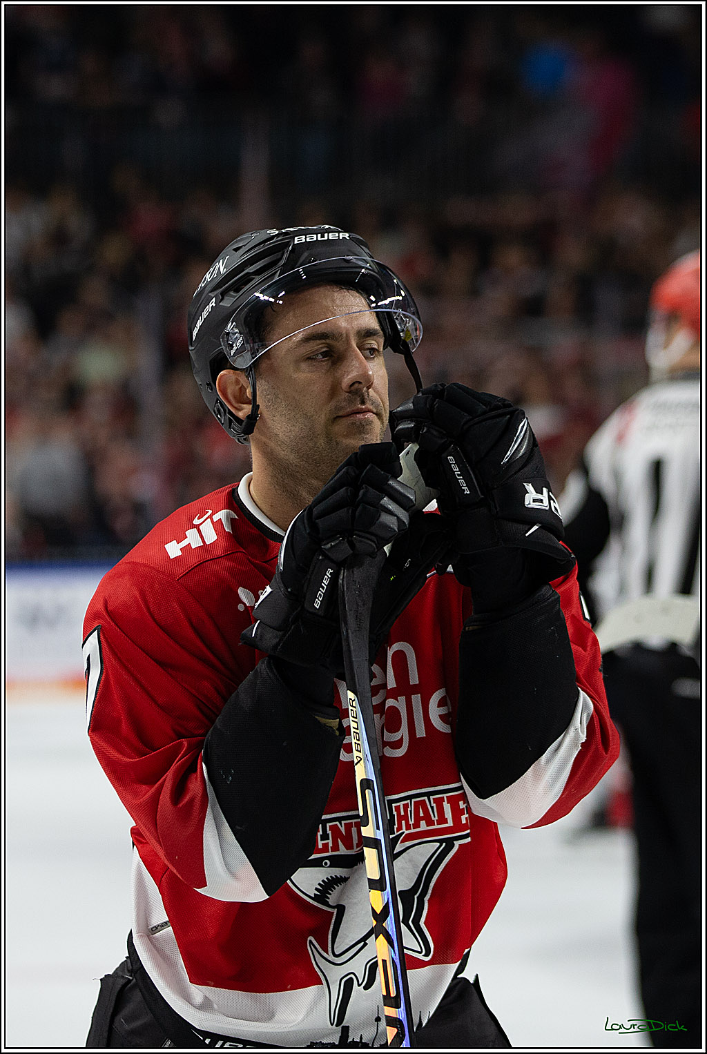 PENNY DEL; Koelner Haie- EHC RedBull Muenchen; Koeln, 27.10.2023