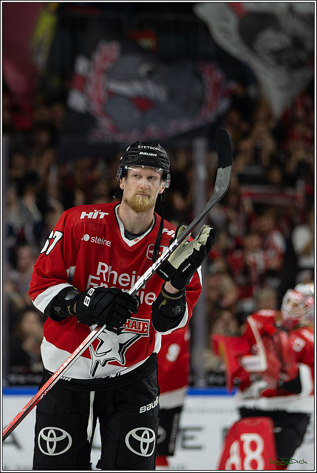 PENNY DEL; Koelner Haie- EHC RedBull Muenchen; Koeln, 27.10.2023