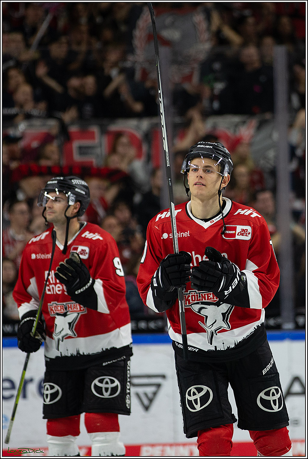 PENNY DEL; Koelner Haie- EHC RedBull Muenchen; Koeln, 27.10.2023