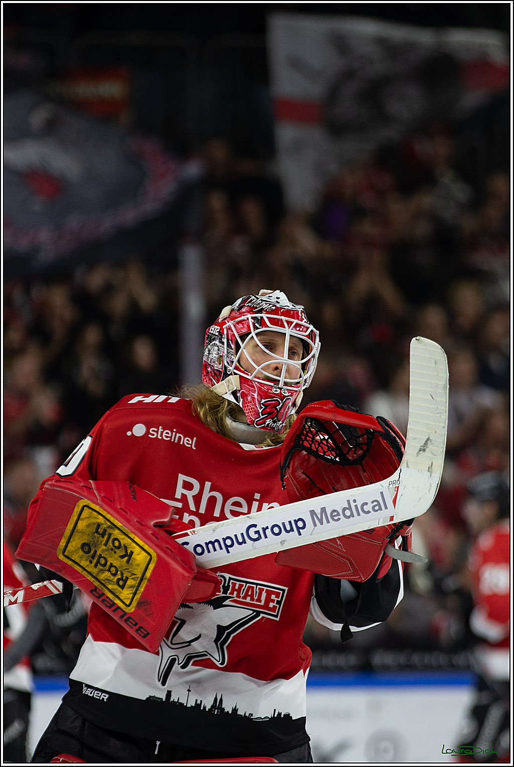PENNY DEL; Koelner Haie- EHC RedBull Muenchen; Koeln, 27.10.2023