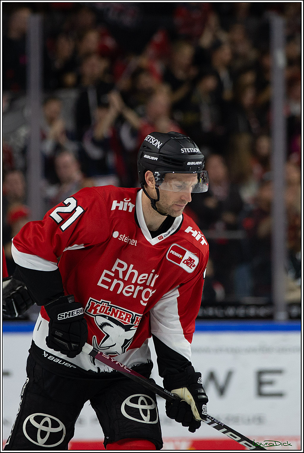 PENNY DEL; Koelner Haie- EHC RedBull Muenchen; Koeln, 27.10.2023