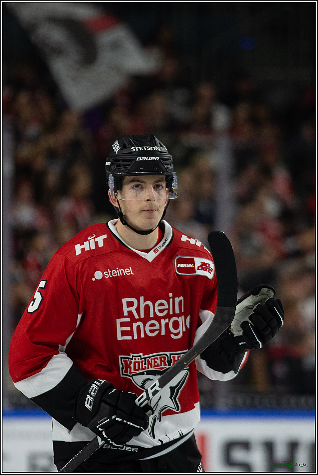 PENNY DEL; Koelner Haie- EHC RedBull Muenchen; Koeln, 27.10.2023