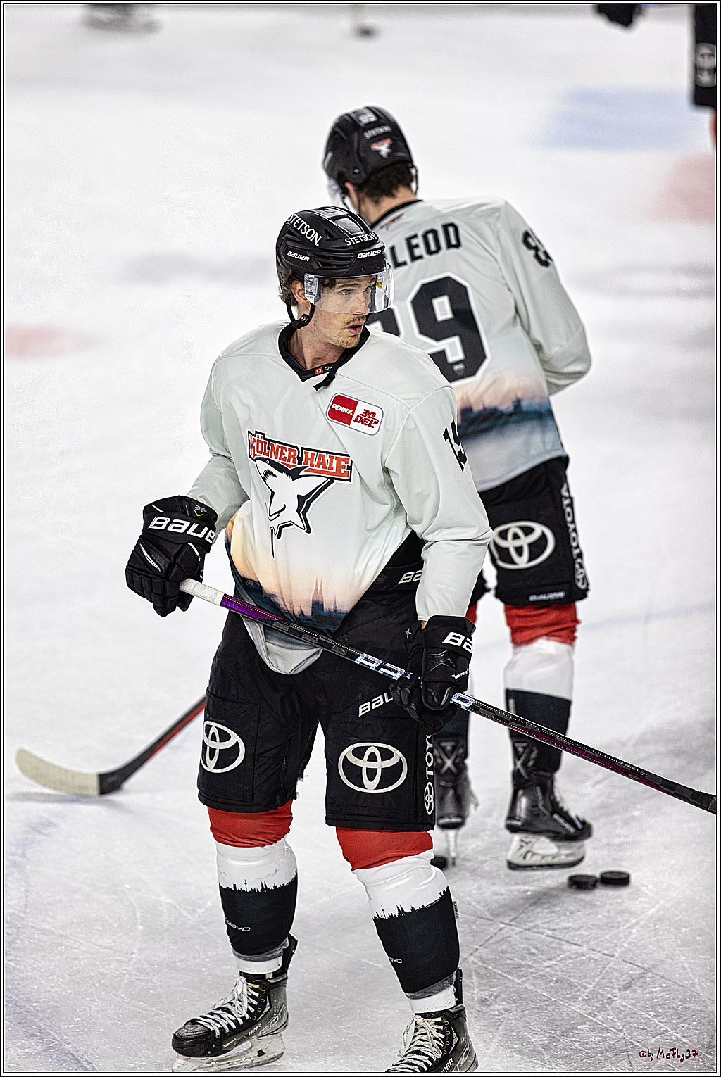 PENNY DEL 1. Koelner Haie - Red Bull Muenchen; Koeln, 27.10.2023