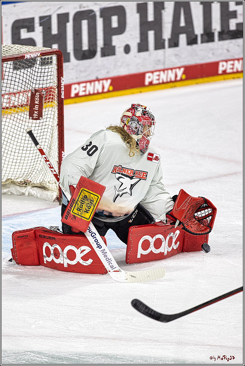 PENNY DEL 1. Koelner Haie - Red Bull Muenchen; Koeln, 27.10.2023