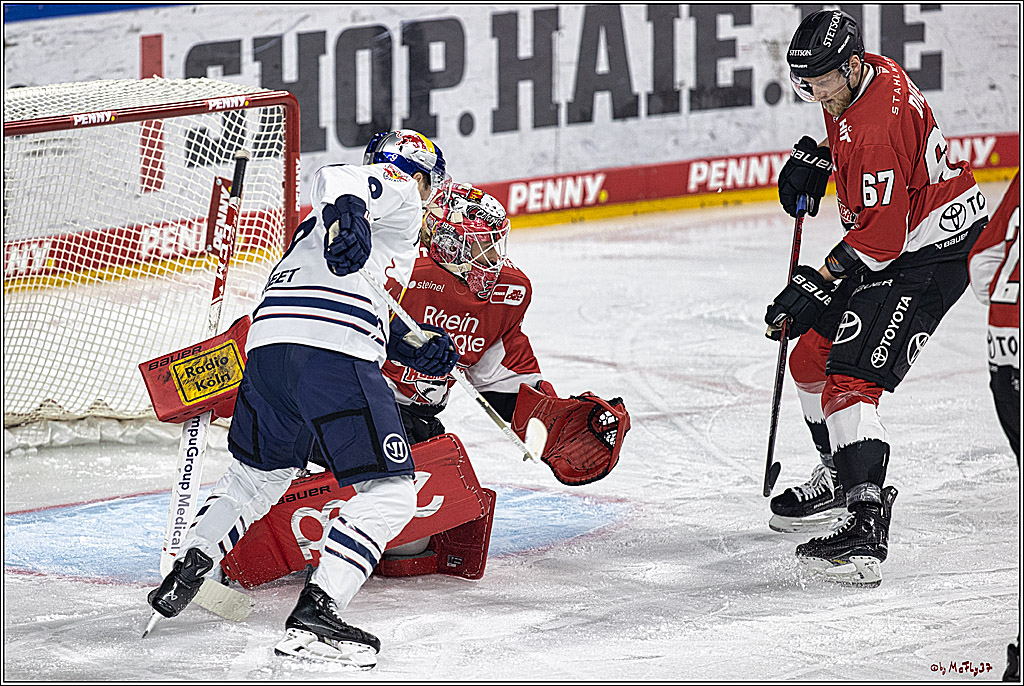 PENNY DEL 1. Koelner Haie - Red Bull Muenchen; Koeln, 27.10.2023