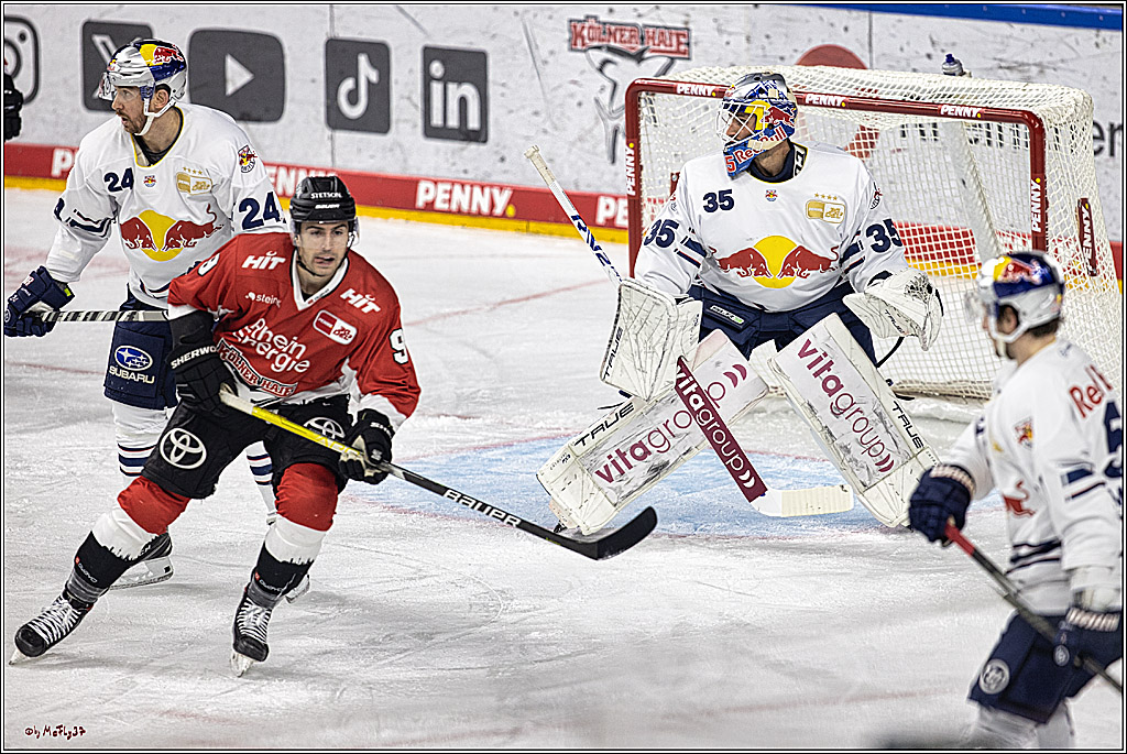 PENNY DEL 1. Koelner Haie - Red Bull Muenchen; Koeln, 27.10.2023