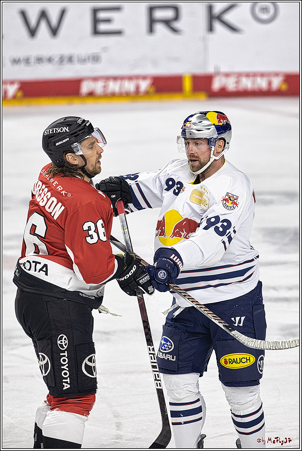 PENNY DEL 1. Koelner Haie - Red Bull Muenchen; Koeln, 27.10.2023
