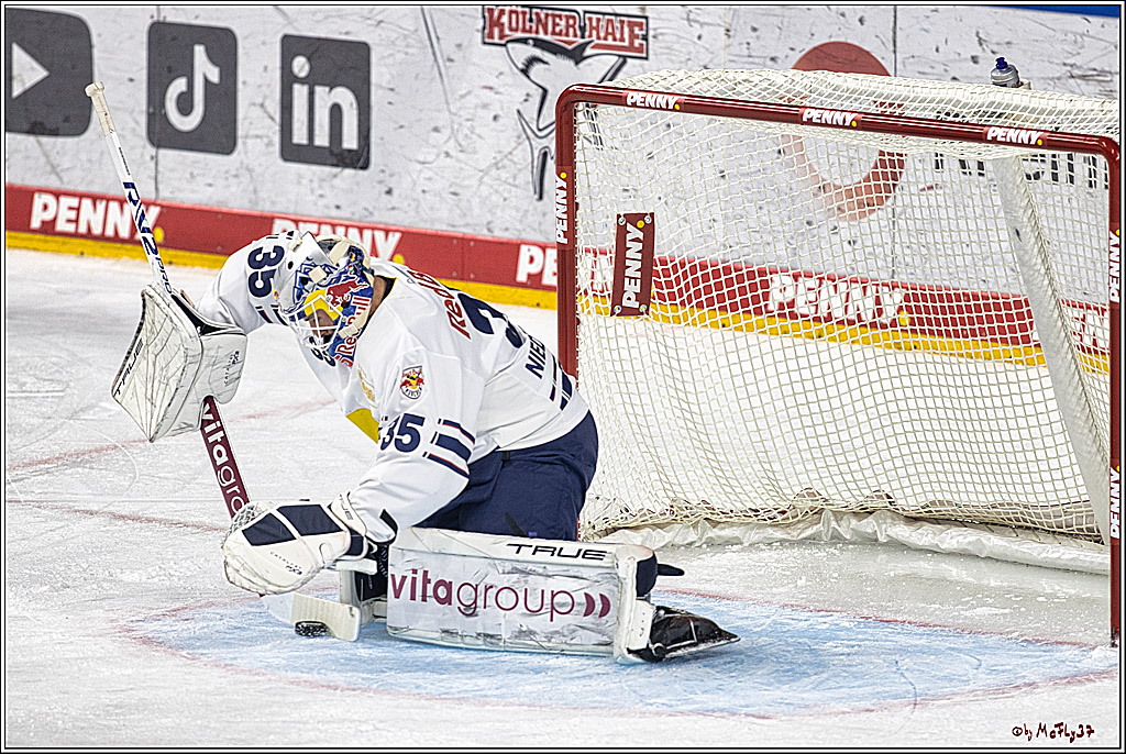 PENNY DEL 1. Koelner Haie - Red Bull Muenchen; Koeln, 27.10.2023