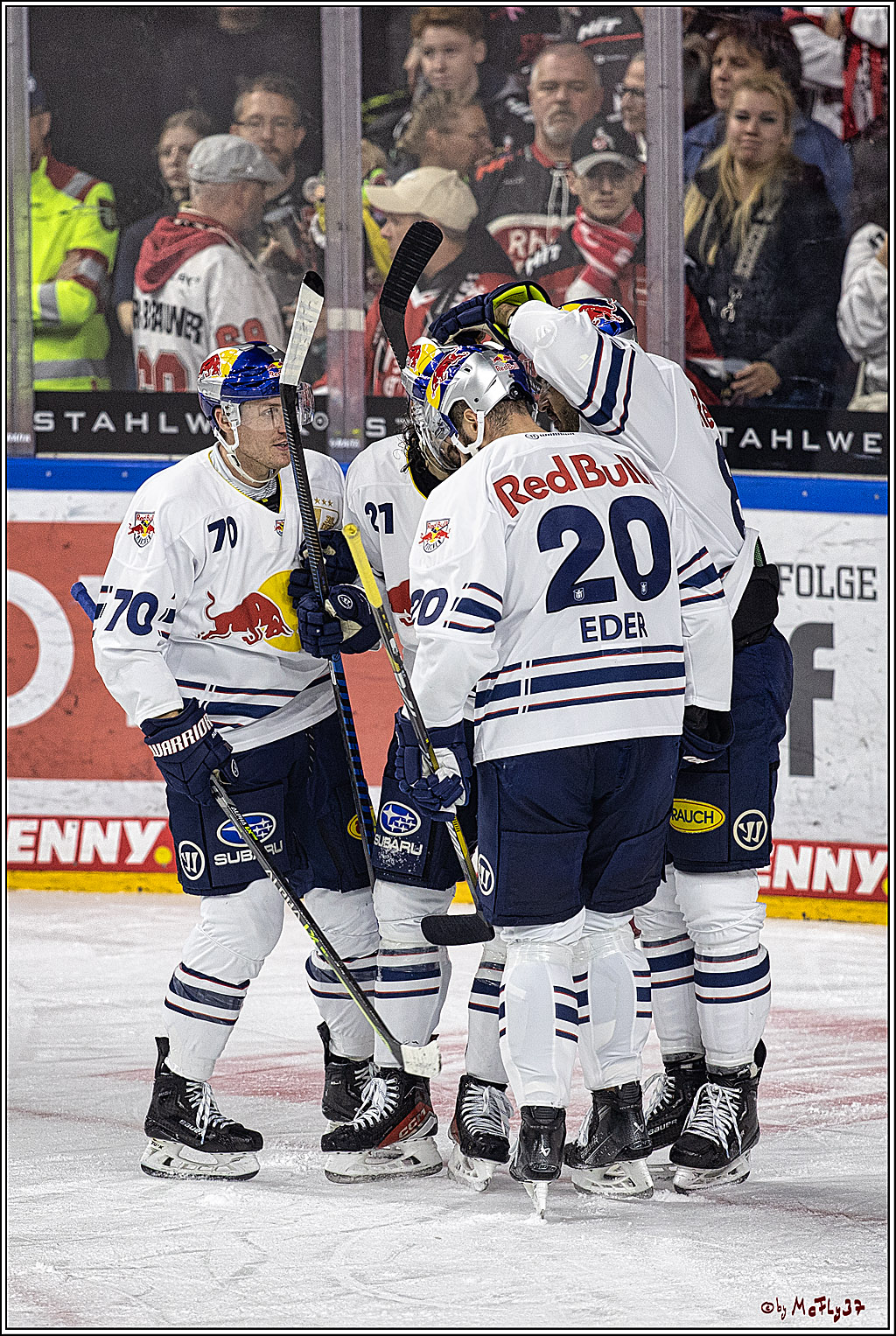 PENNY DEL 1. Koelner Haie - Red Bull Muenchen; Koeln, 27.10.2023