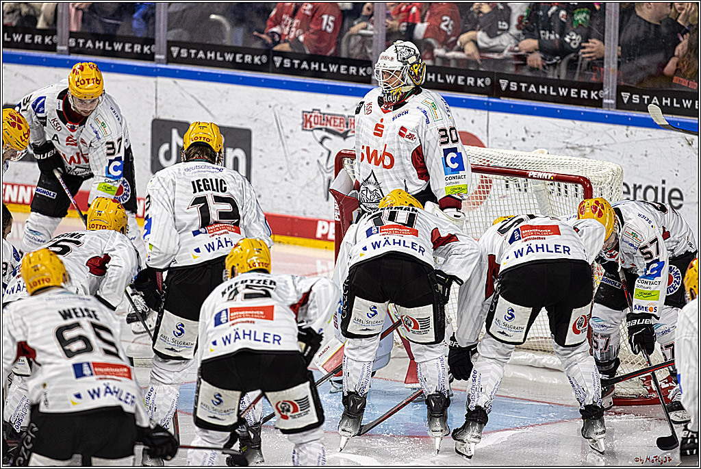 PENNY DEL 1. Koelner Haie - Fischtown Pinguins Bremerhaven; Koeln, 01.11.2023
