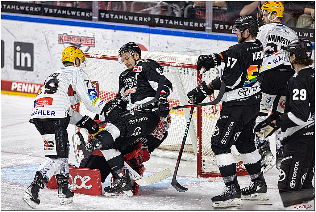 PENNY DEL 1. Koelner Haie - Fischtown Pinguins Bremerhaven; Koeln, 01.11.2023