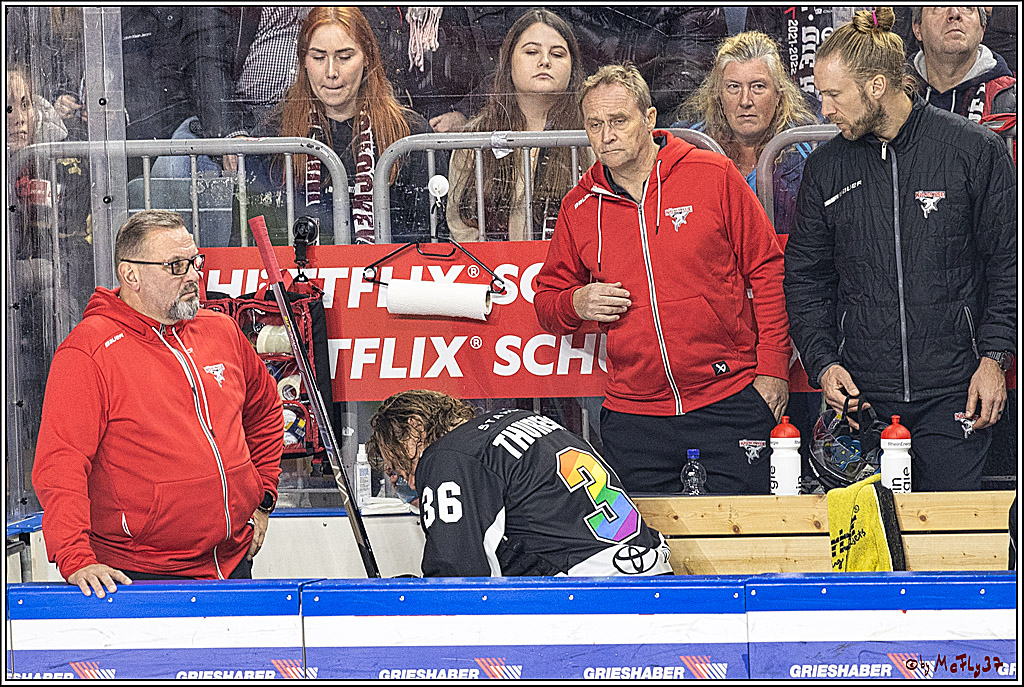 PENNY DEL 1. Koelner Haie - Fischtown Pinguins Bremerhaven; Koeln, 01.11.2023