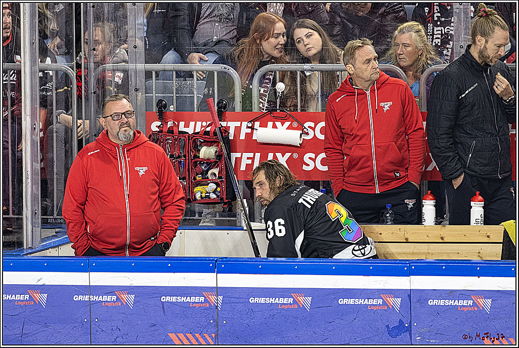 PENNY DEL 1. Koelner Haie - Fischtown Pinguins Bremerhaven; Koeln, 01.11.2023