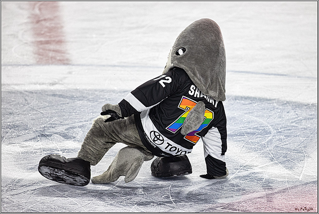 PENNY DEL 1. Koelner Haie - Fischtown Pinguins Bremerhaven; Koeln, 01.11.2023