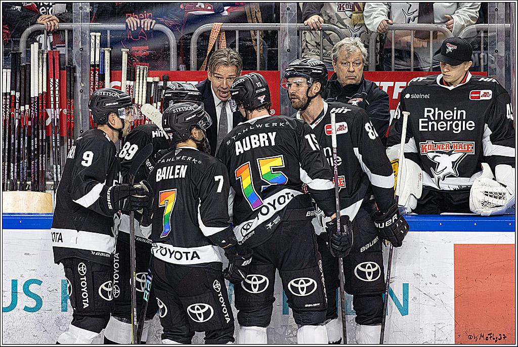 PENNY DEL 1. Koelner Haie - Fischtown Pinguins Bremerhaven; Koeln, 01.11.2023