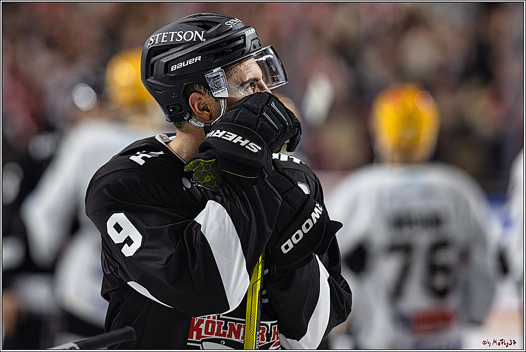PENNY DEL 1. Koelner Haie - Fischtown Pinguins Bremerhaven; Koeln, 01.11.2023