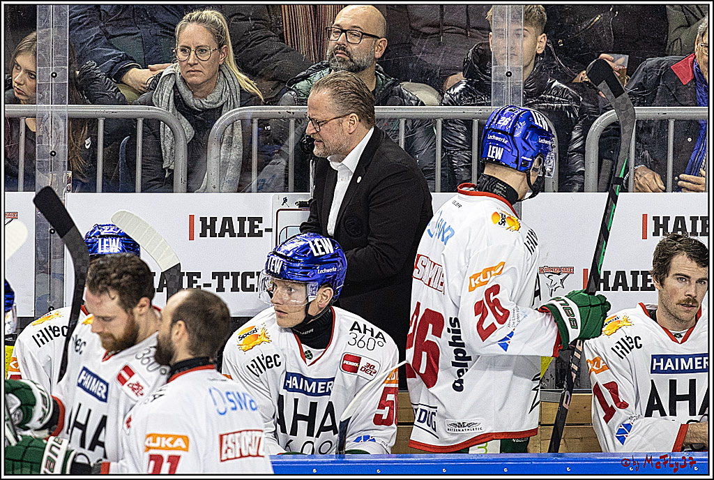 PENNY DEL 1. Koelner Haie - Augsburger Panther; Koeln, 19.11.2023