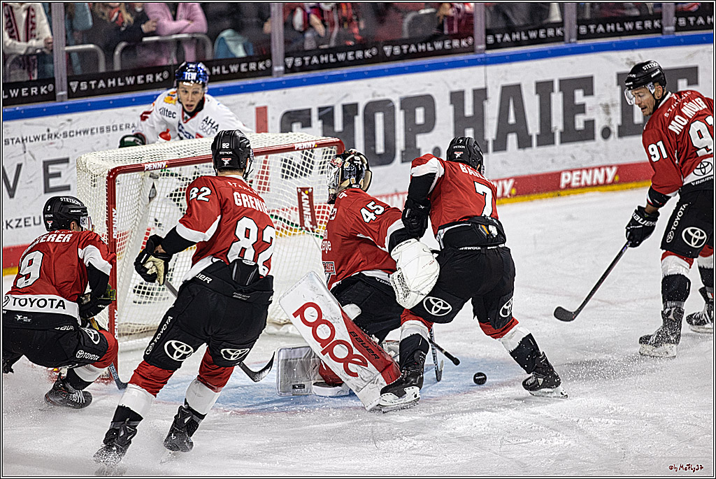 PENNY DEL 1. Koelner Haie - Augsburger Panther; Koeln, 19.11.2023