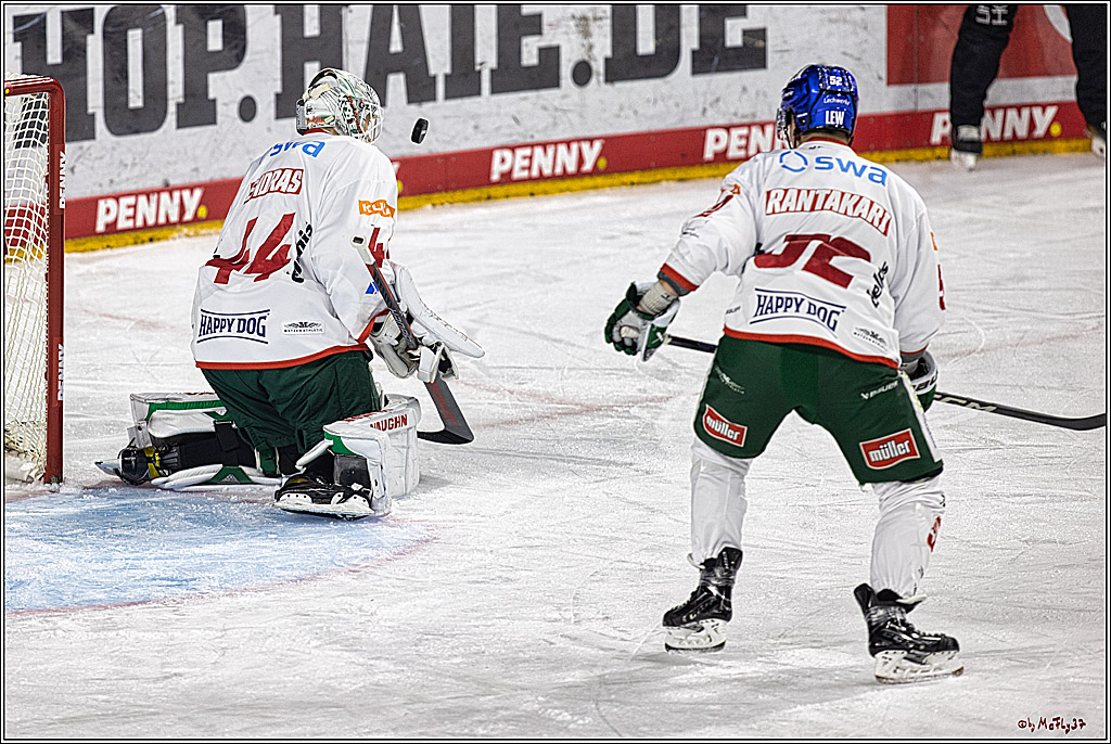 PENNY DEL 1. Koelner Haie - Augsburger Panther; Koeln, 19.11.2023