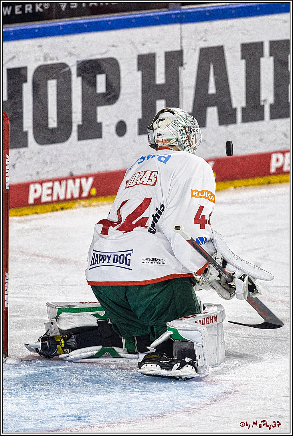 PENNY DEL 1. Koelner Haie - Augsburger Panther; Koeln, 19.11.2023
