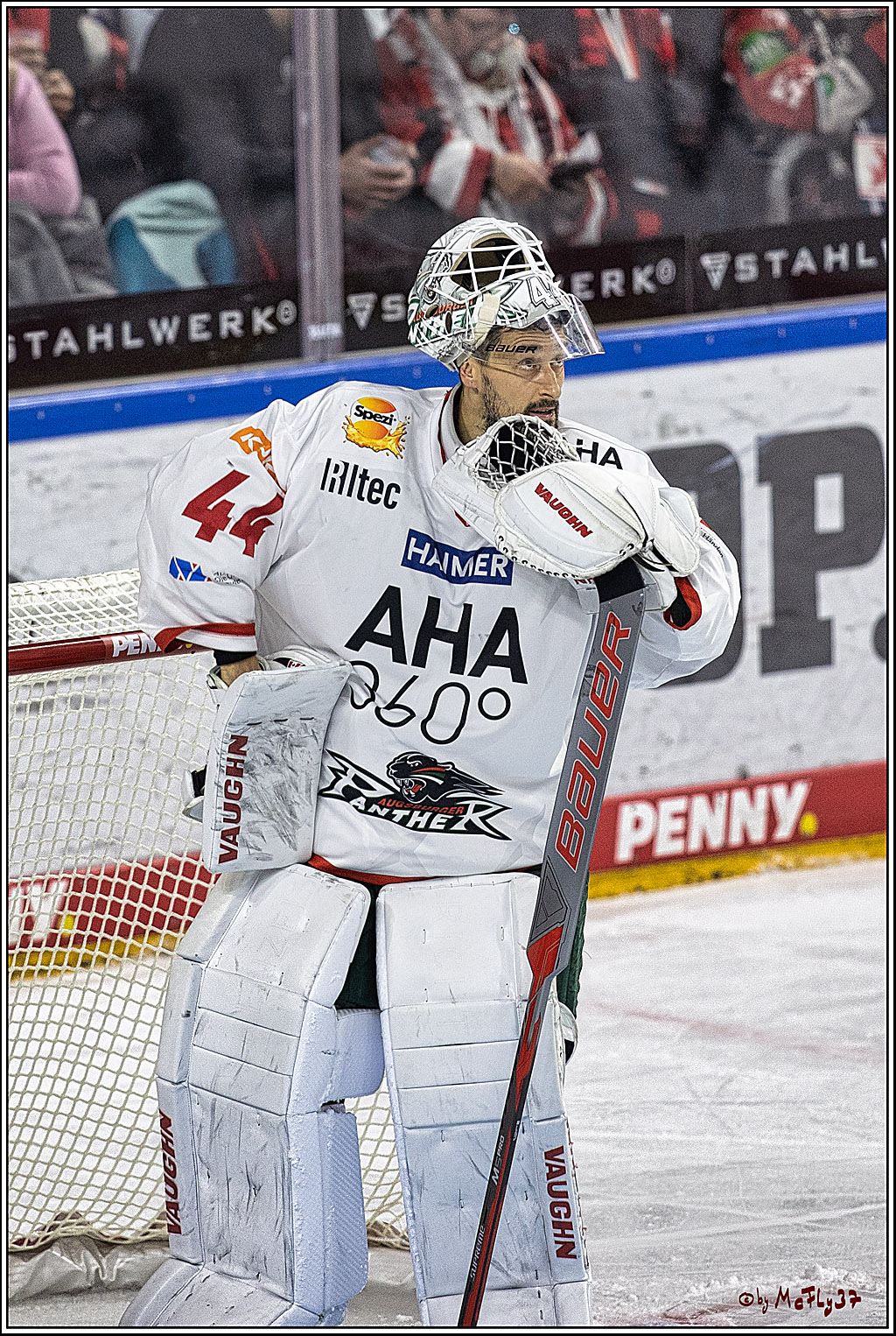 PENNY DEL 1. Koelner Haie - Augsburger Panther; Koeln, 19.11.2023