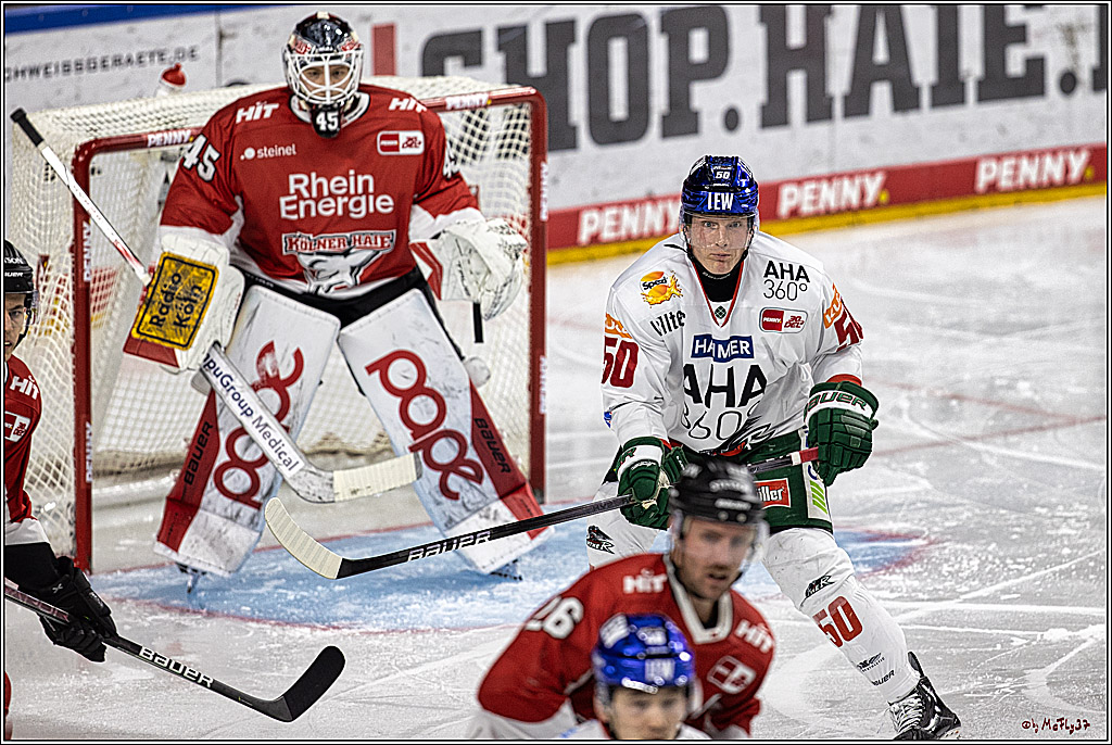 PENNY DEL 1. Koelner Haie - Augsburger Panther; Koeln, 19.11.2023