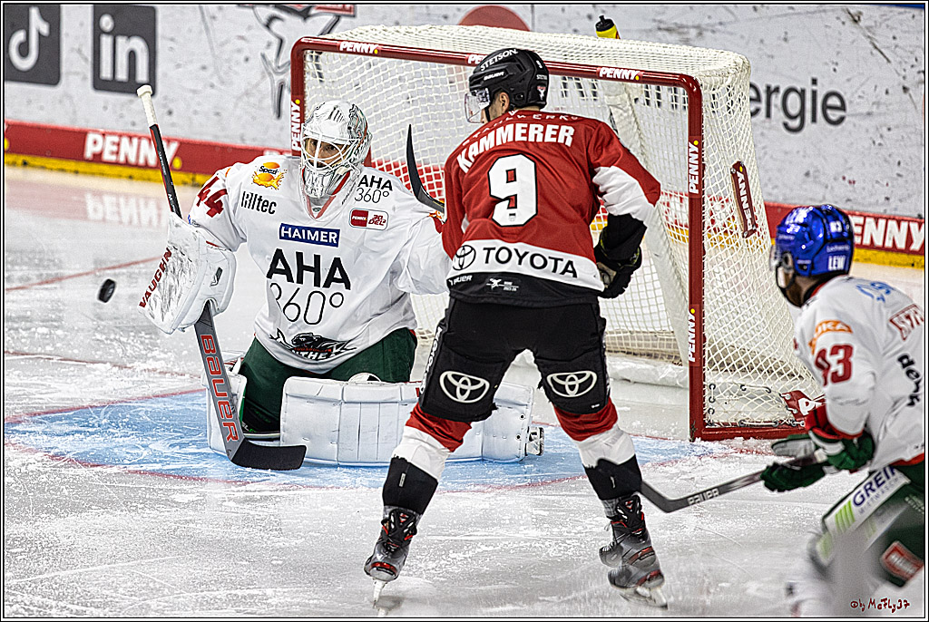 PENNY DEL 1. Koelner Haie - Augsburger Panther; Koeln, 19.11.2023