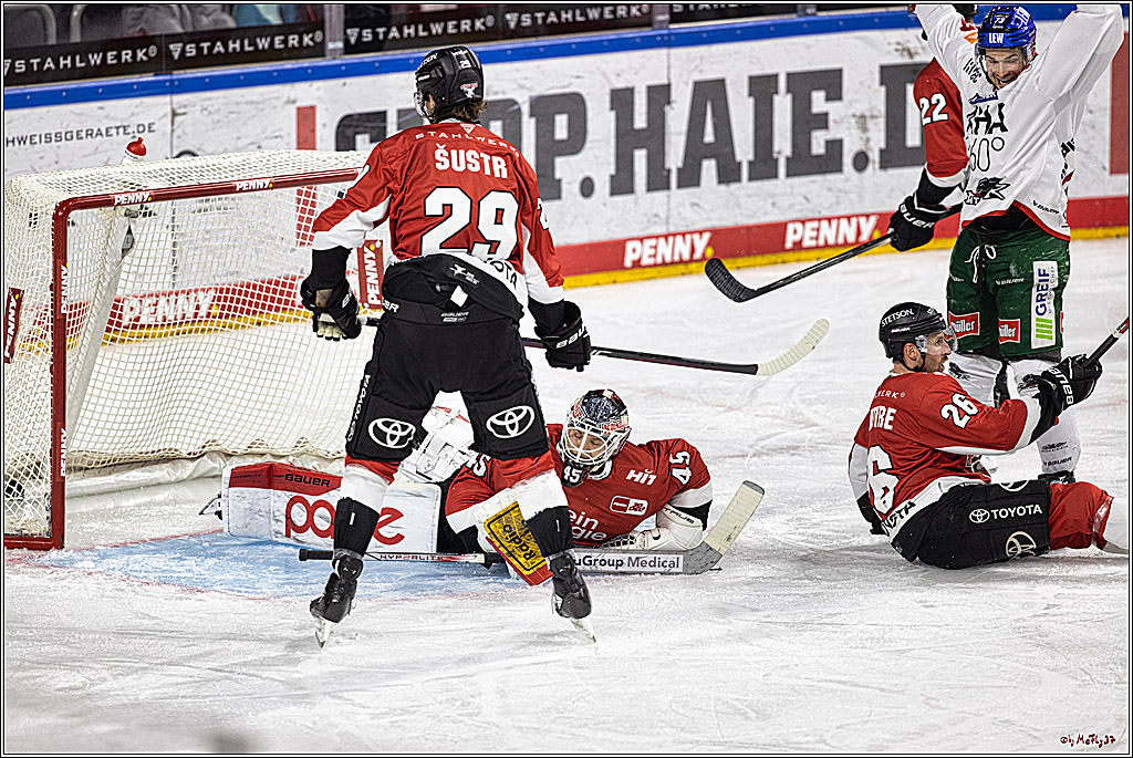 PENNY DEL 1. Koelner Haie - Augsburger Panther; Koeln, 19.11.2023